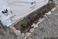 Designing Charming Cottage Gardens: Ideas, Plants & Layout Tips