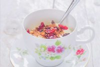 Holiday Pecan and Cranberry Christmas Granola Recipe