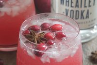 Festive Vodka Sippers: Holiday Cocktail Ideas for Parties