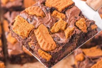 Ultimate Biscoff Brownies Recipe with Creamy Lotus Spread