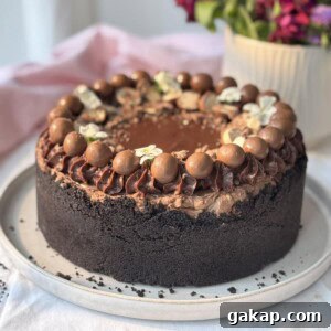 whole no-bake chocolate cheesecake with chocolate decorations.