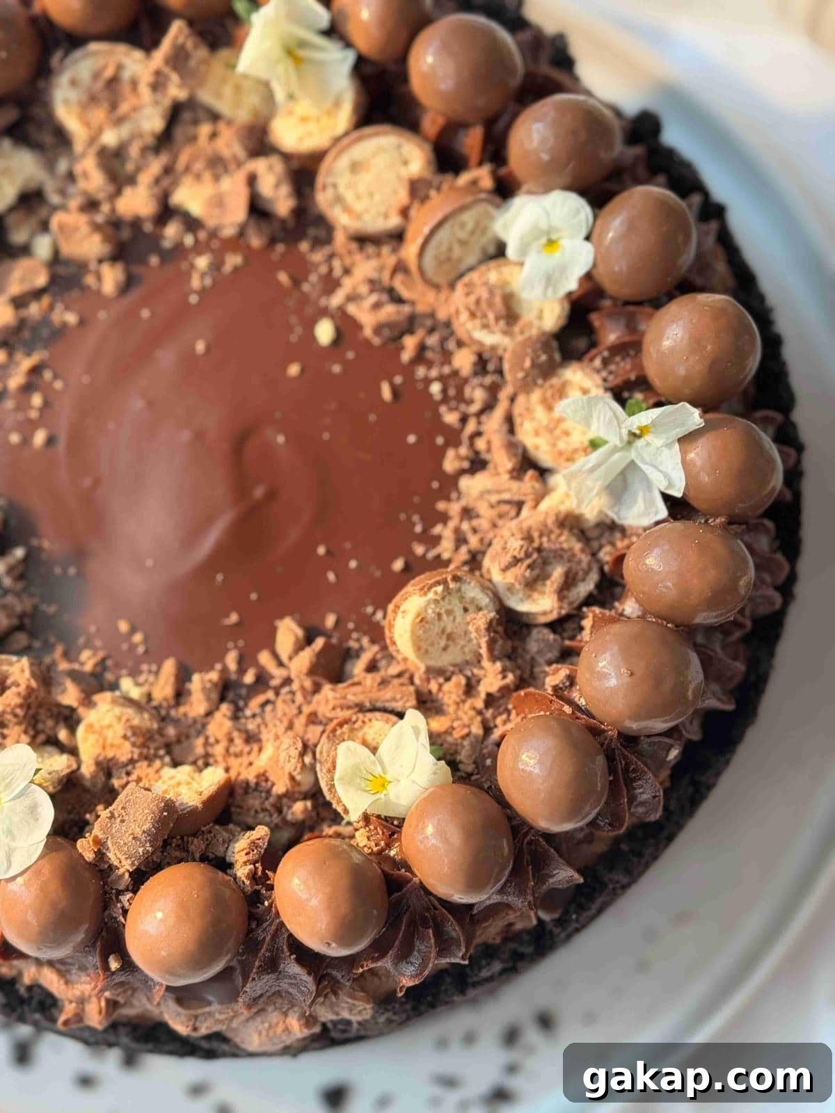 whole no-bake chocolate cheesecake with chocolate decorations.