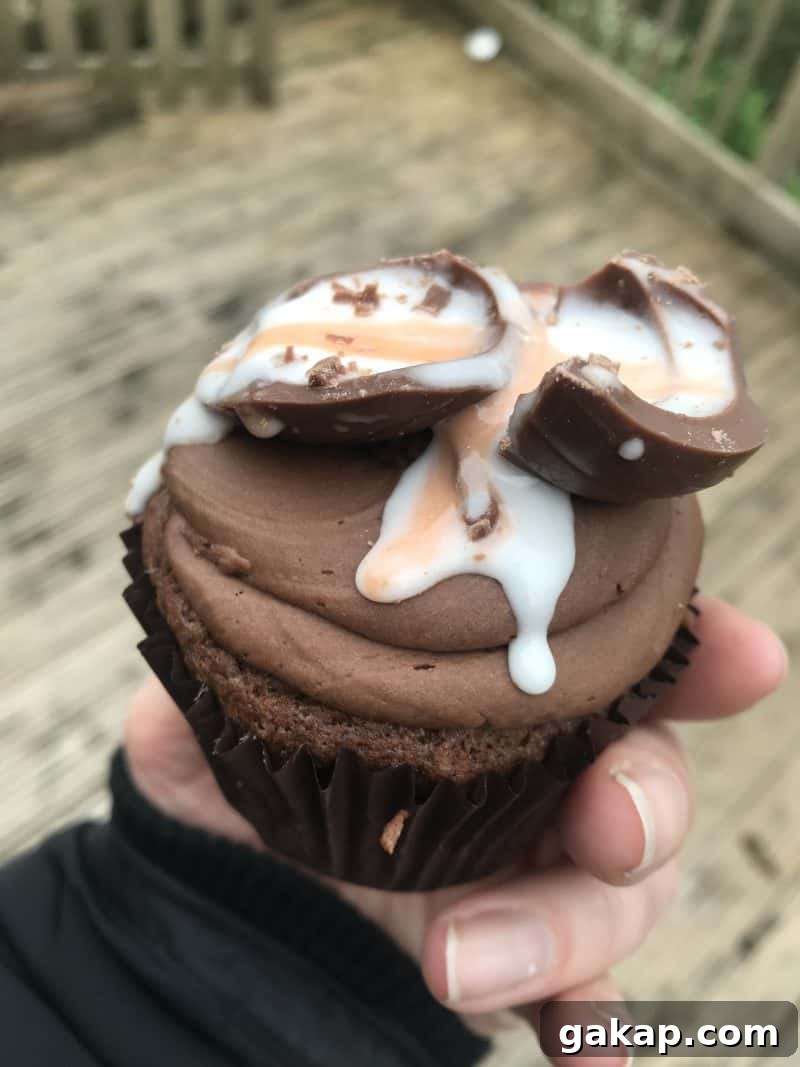 Gluten-Free Guide to Barnstaple, North Devon: Where to Eat & Shop 10 gluten free barnstaple north devon the cupcakery