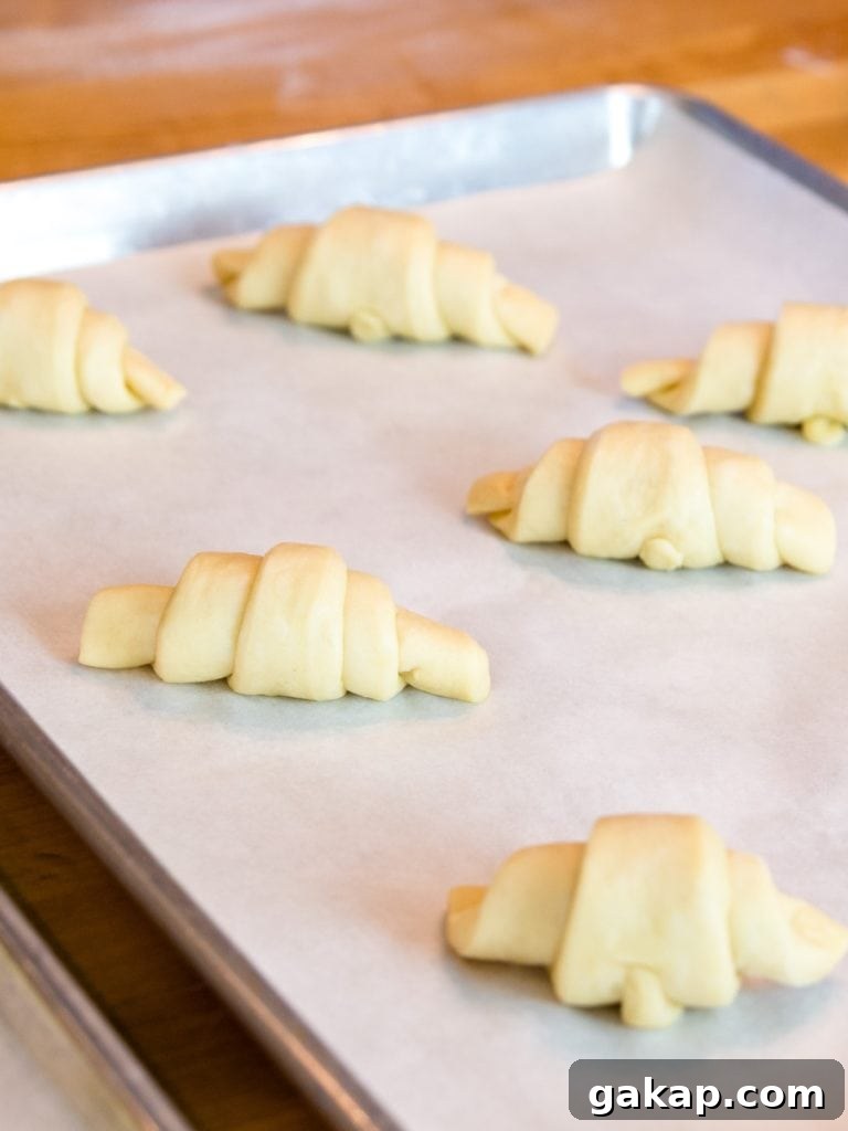 Butterhorn Pastries: Classic Danish Butter-Rich Crescent Rolls 2 Unbaked butterhorns sitting on parchment-lined baking sheet with wooden surface in background