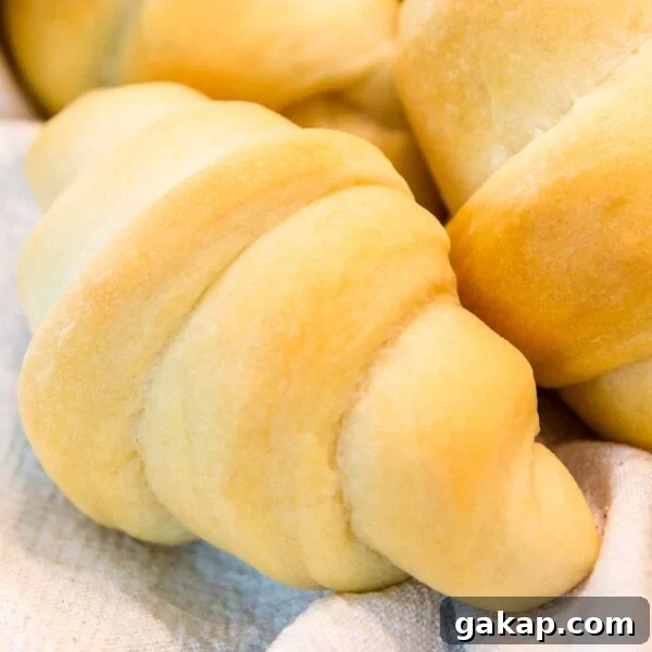 Butterhorn Pastries: Classic Danish Butter-Rich Crescent Rolls 3 Golden butter horns sitting on white towel