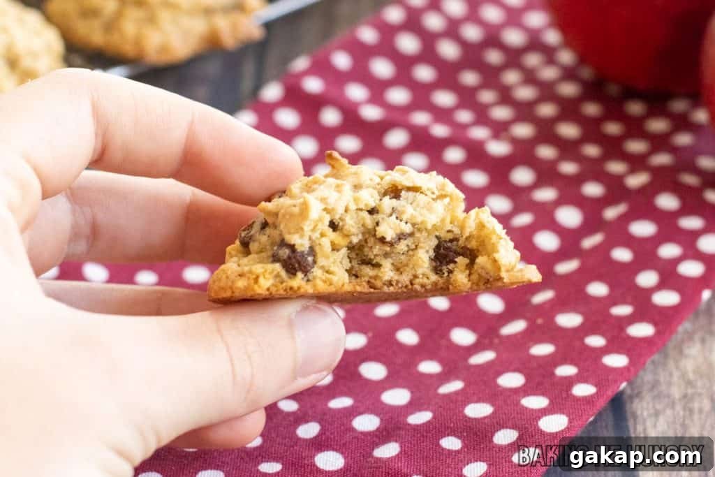 hand holding one of the apple raisin cookies missing a bite