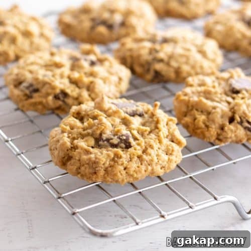 brown butter oatmeal cookies with chocolate chunks on wire rack