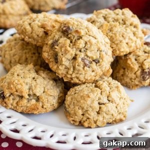 apple oatmeal raisin cookies close up on a white decorative plate