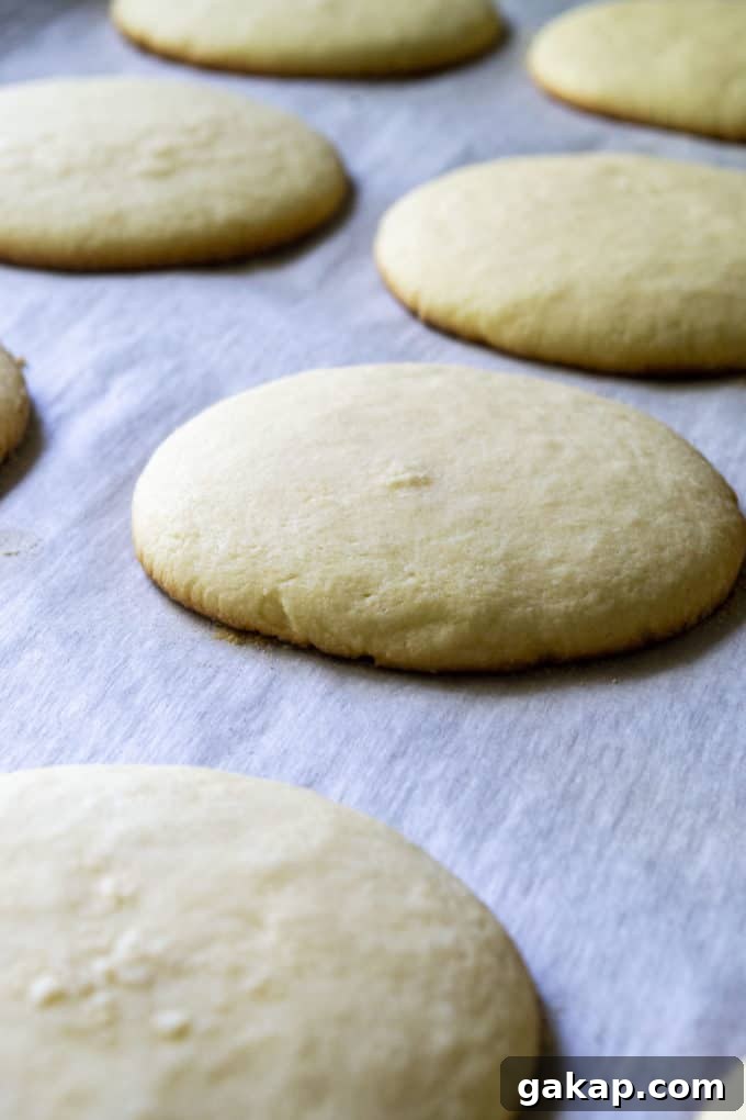 baked Christmas light cookies