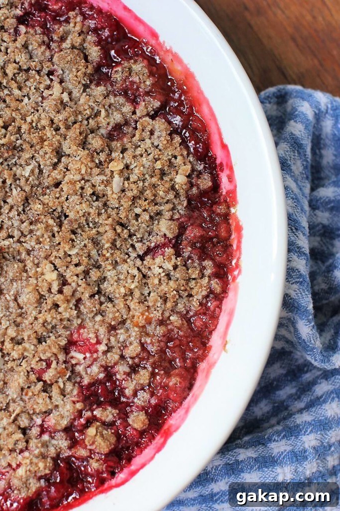 Apricot and Evans Cherry Crisp Recipe for Summer Baking 8 Apricot and Evans Cherry Crisp fresh out of the oven