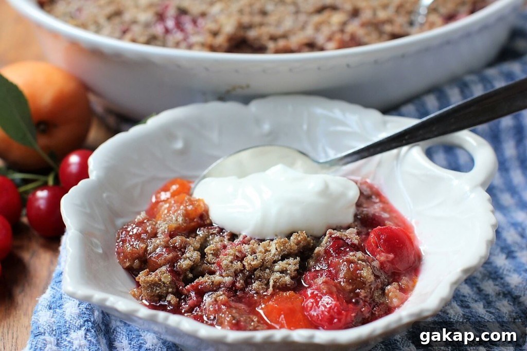 Apricot and Evans Cherry Crisp Recipe for Summer Baking 9 have a bowl of apricot and Evans cherry crisp