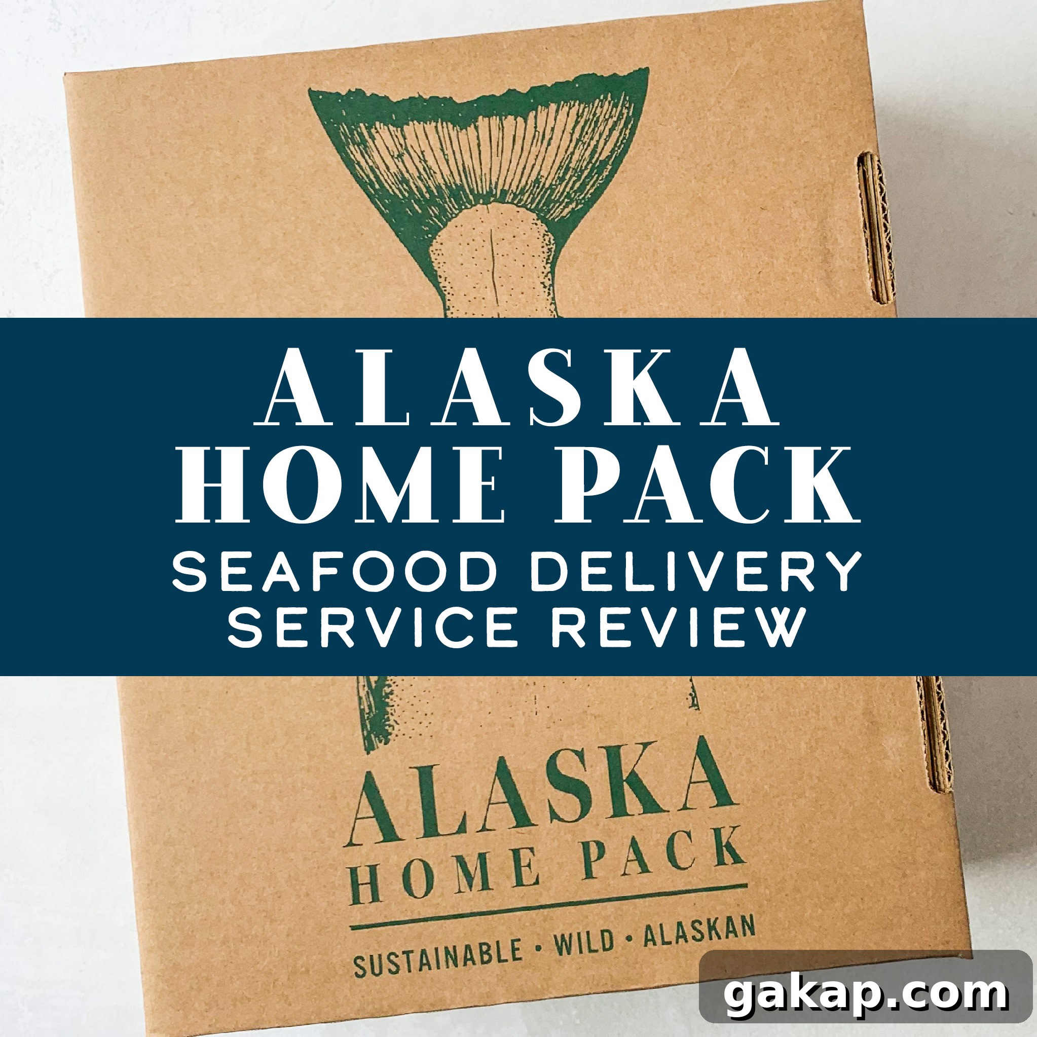 img 12243 1