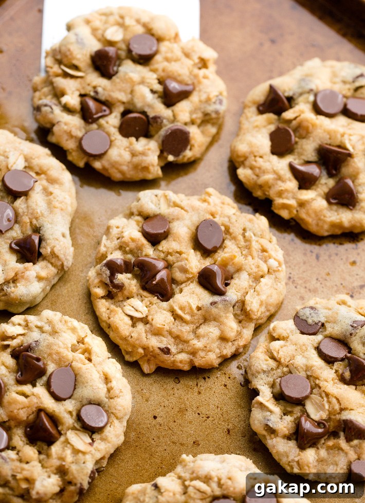Healthy Oatmeal Chocolate Chip Cookies