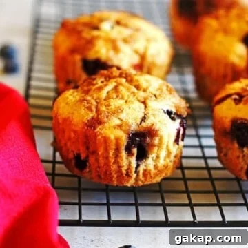 Blueberry Banana Muffins on a black cooling rack