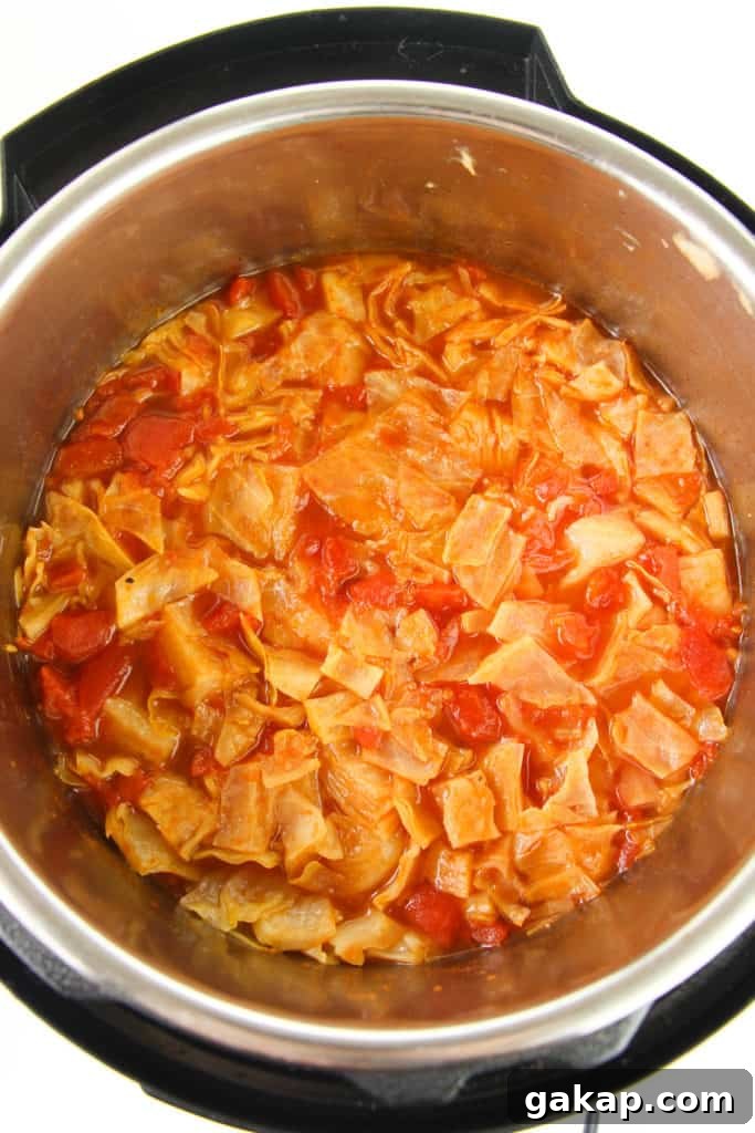 Low Carb Cabbage Soup