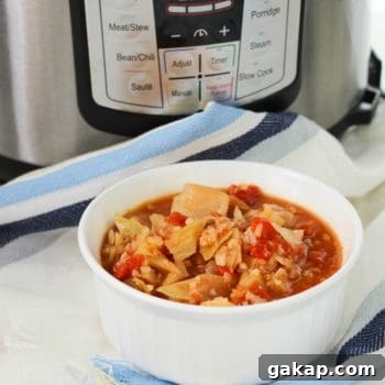 Low Carb Chicken Cabbage Soup