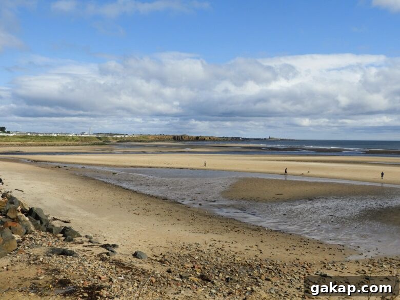 Cambois Beach in Notrthumberland