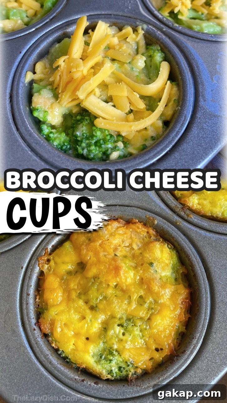 Easy and healthy snack idea: shredded cheddar, broccoli, egg, Ritz crackers and a little seasoning. Kids love them.