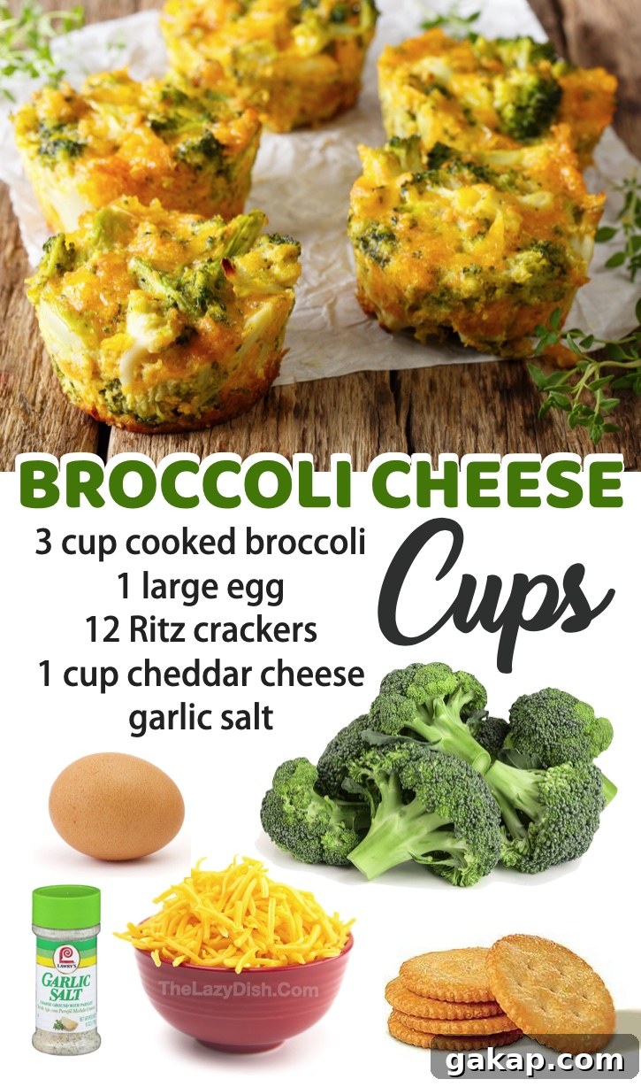 A quick, easy and healthy snack idea! Even your picky eaters will love this fun & simple recipe.