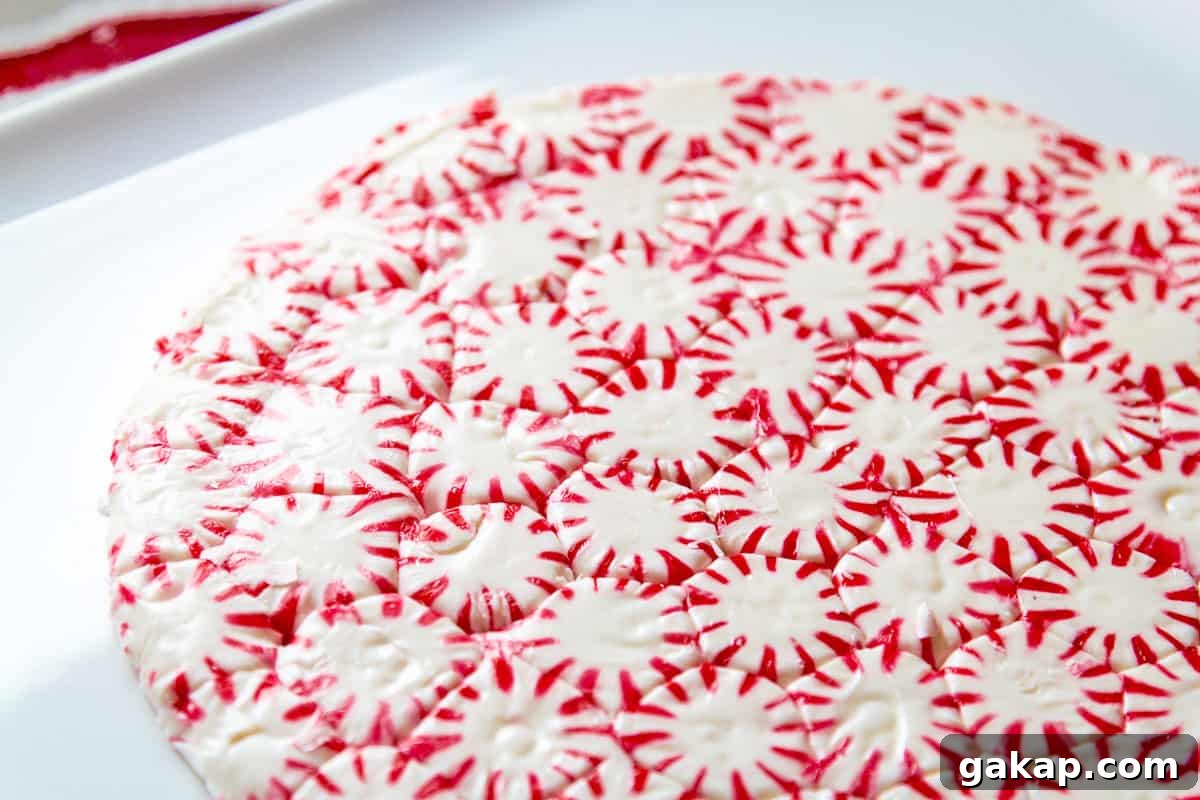 A peppermint candy plate made from peppermints with a pile of fresh baked colorful Christmas cookies.