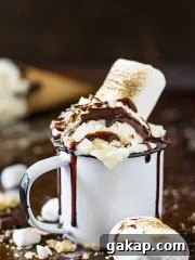 S'mores ice cream in a white enamel cup with a jumbo toasted marshmallow and a chocolate drizzle.