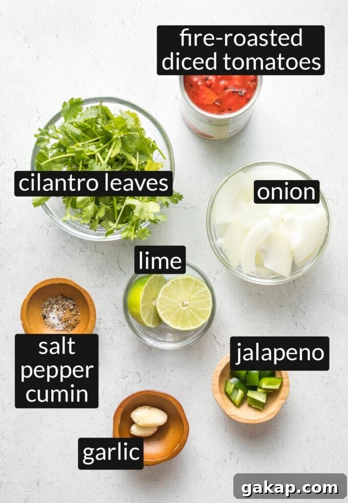 Can of fire-roasted tomatoes, bowls with cilantro, onion, limes, garlic, jalapeno, salt, pepper, and cumin.