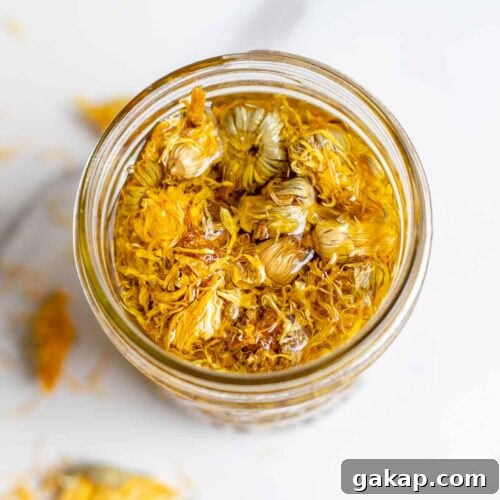 Overhead photo of a jar of calendula oil with dried calendula in it.