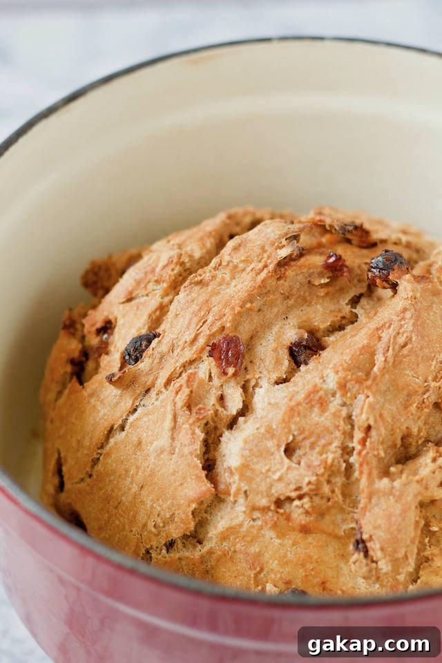 An easy Homemade Whole Wheat Cinnamon Raisin Bread Recipe Baked in Dutch Oven