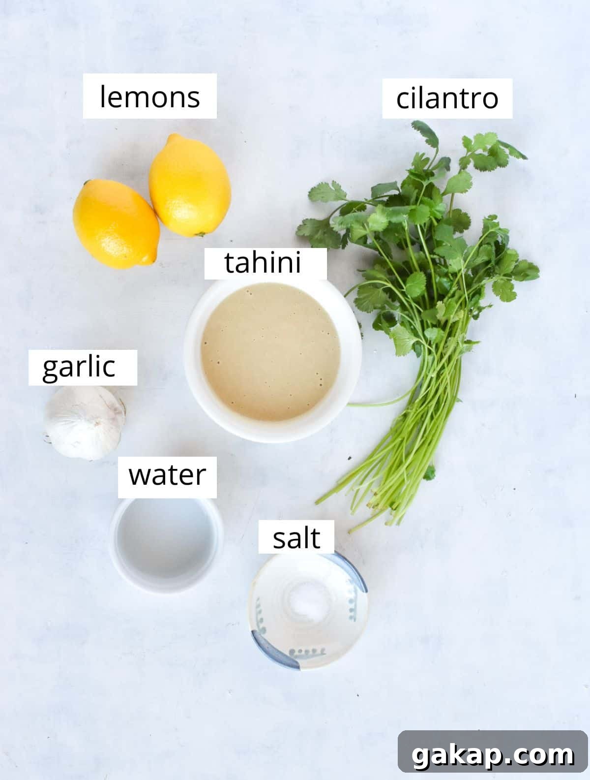 ingredients for recipe on white background. 
