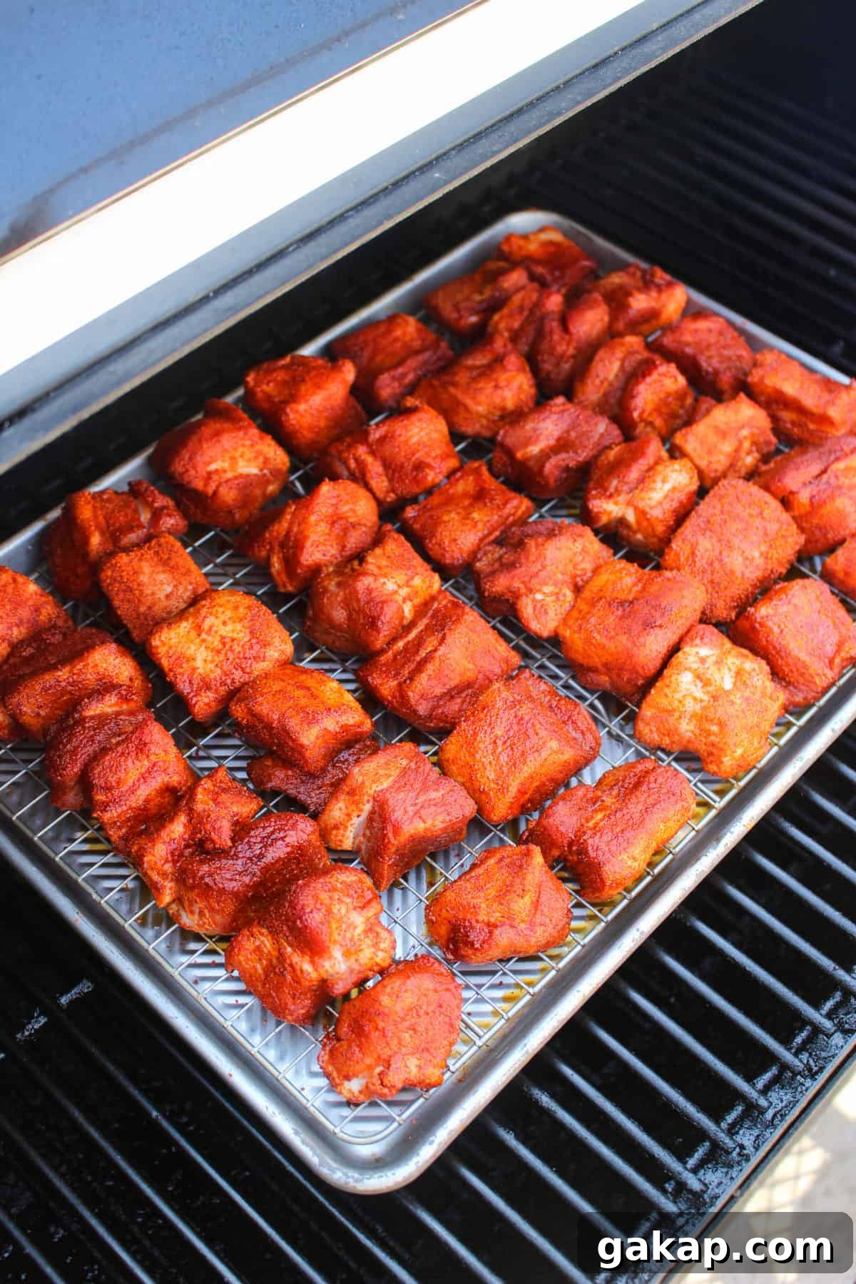 Honey Garlic Pork Belly Burnt Ends Recipe for Sticky, Crispy Bites 3 About to close up the smoker for the first portion of cooking.