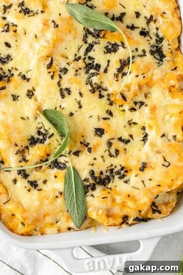 Baked butternut squash mac and cheese topped with melted cheese and fresh sage in a rectangular baking dish.
