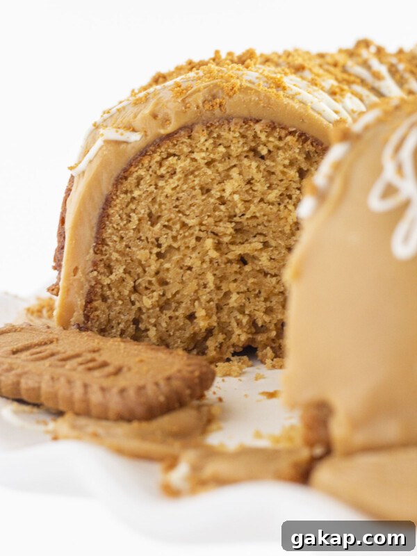 Moist Bundt Spice Cake Made with Cake Mix – Simple Holiday Dessert 6 A biscoff cake with slices taken out and looking at the inside.