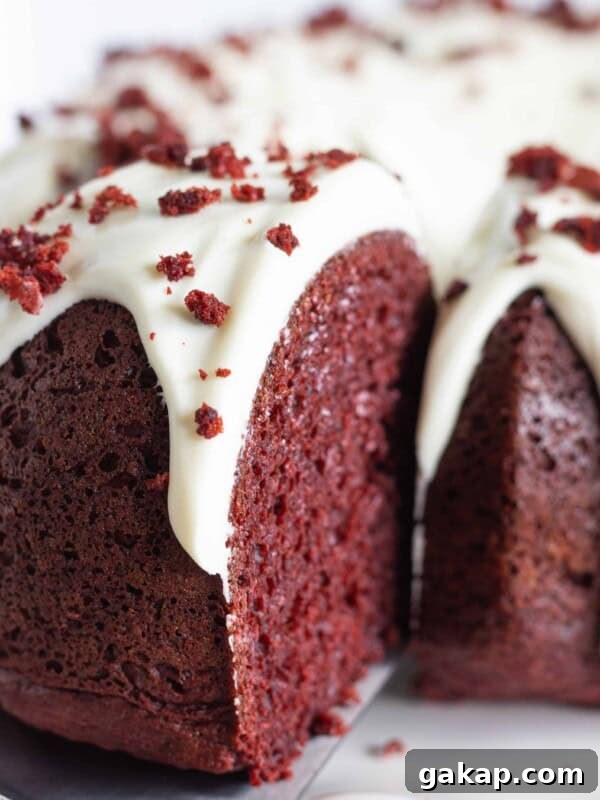 Moist Bundt Spice Cake Made with Cake Mix – Simple Holiday Dessert 8 Serving a slice of red velvet bundt cake.