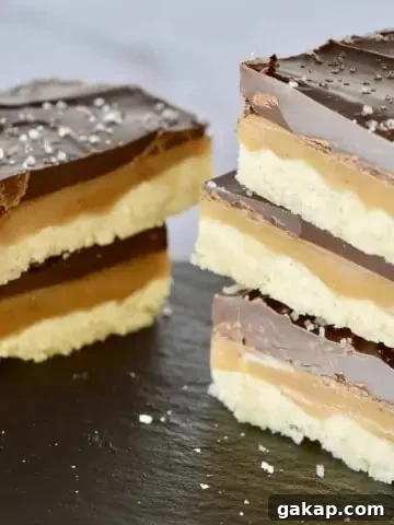 Salted Chocolate Caramel Squares.