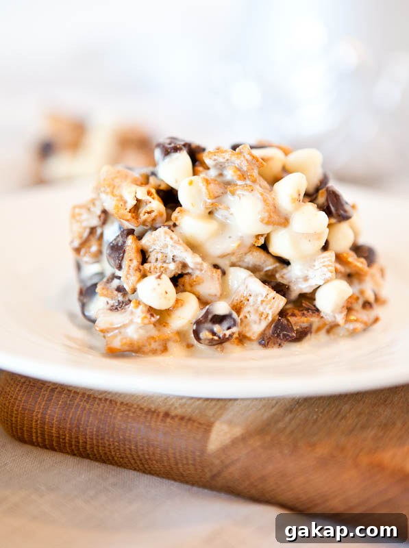 Deep Dish Double Chocolate Golden Grahams Smores Bar