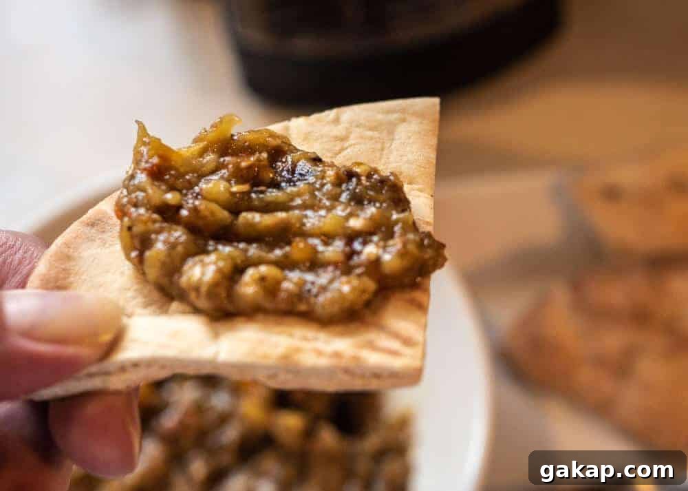 roasted eggplant dip on pita bread close up