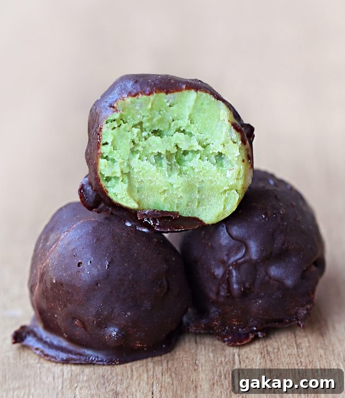 Avocado Fudge Bites