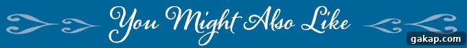 blue rectangle saying you might also like