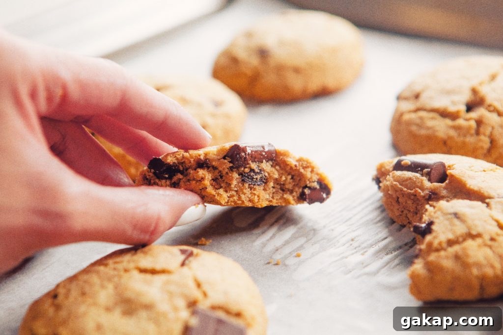 Best Paleo Chocolate Chip Cookies