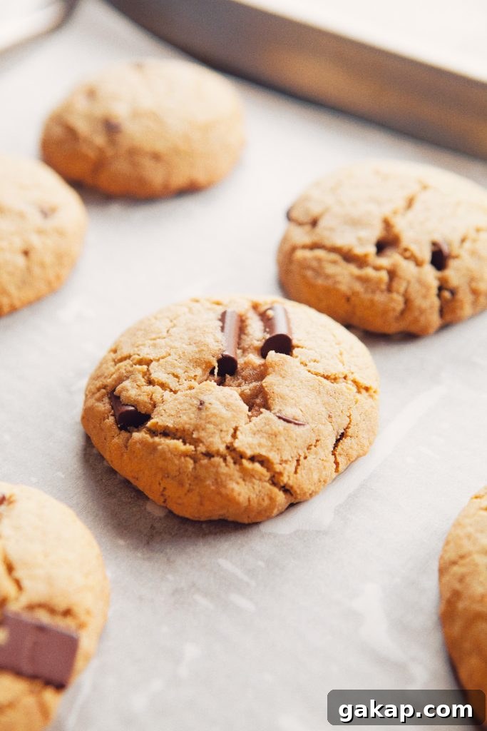 Best Paleo Chocolate Chip Cookies