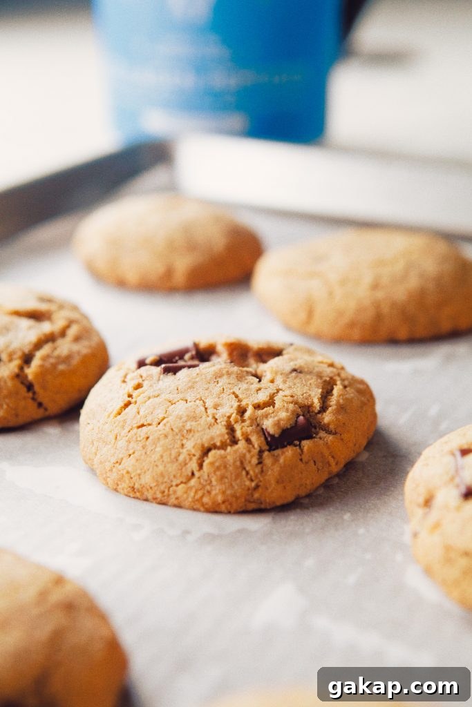 Best Paleo Chocolate Chip Cookies