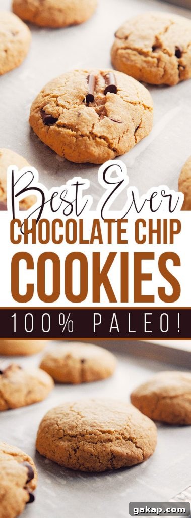 Best Paleo Chocolate Chip Cookies