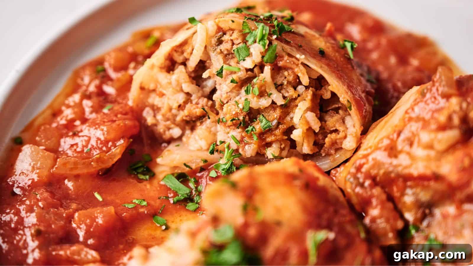 Close-up of stuffed cabbage rolls filled with rice and ground meat, topped with tomato sauce and garnished with chopped herbs.