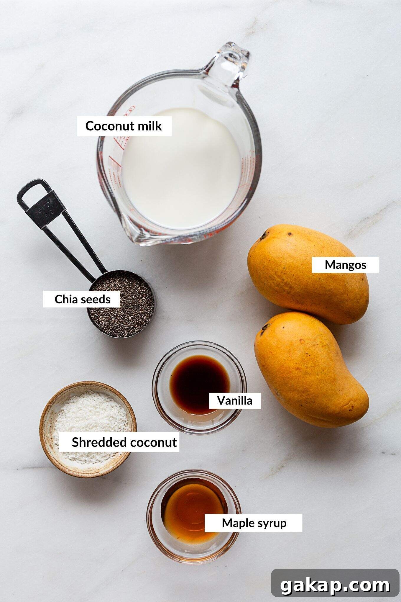 ingredients for coconut mango chia pudding.