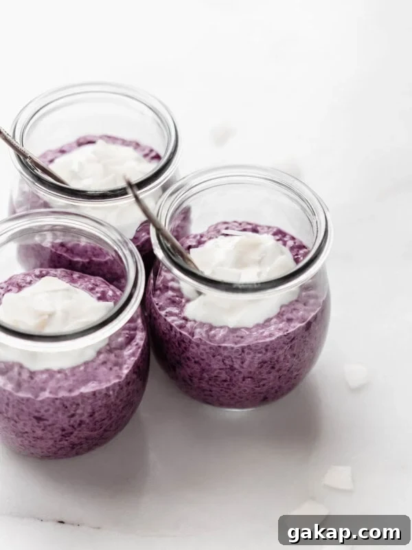 three jars of blueberry chia pudding on a marble counter