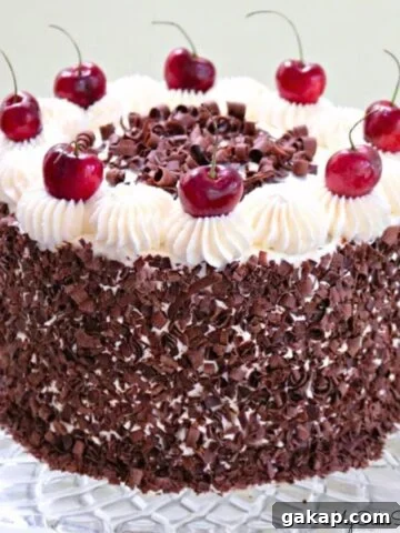Black Forest Cake on glass pedestal.