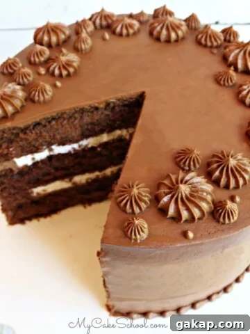 Moist Chocolate Buttermilk Cake From Scratch- SO Good!