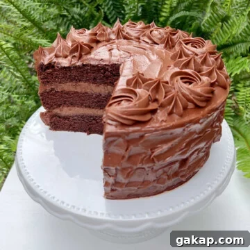 Chocolate Mousse Cake Made from Cake Mix: Quick Decadent Dessert 15 Chocolate Mousse Cake with chocolate frosting, sliced, on a white pedestal.