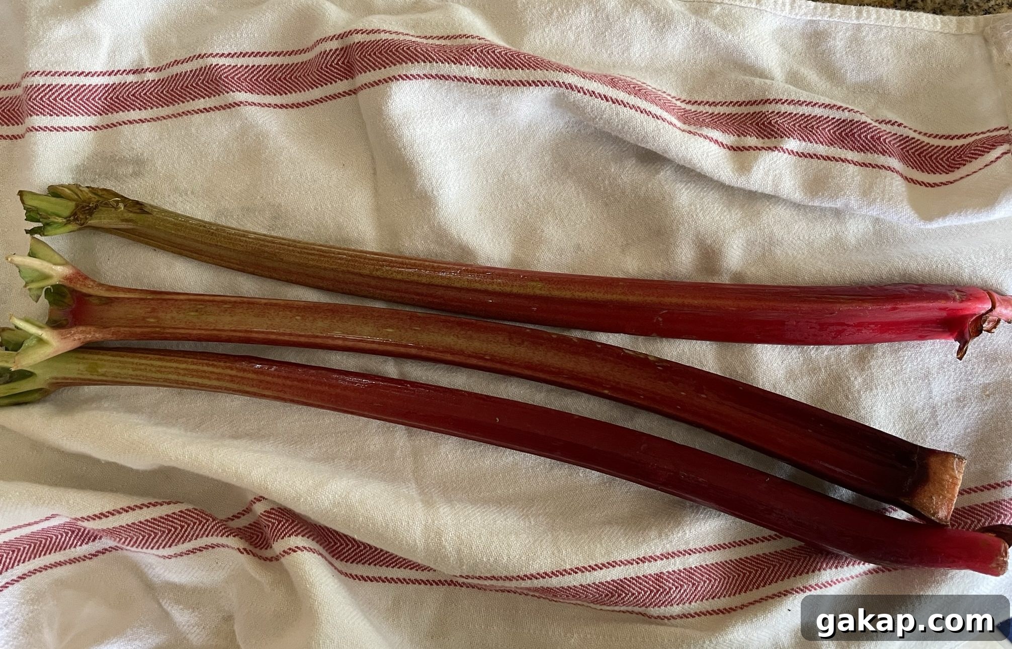 fresh rhubarb stalks