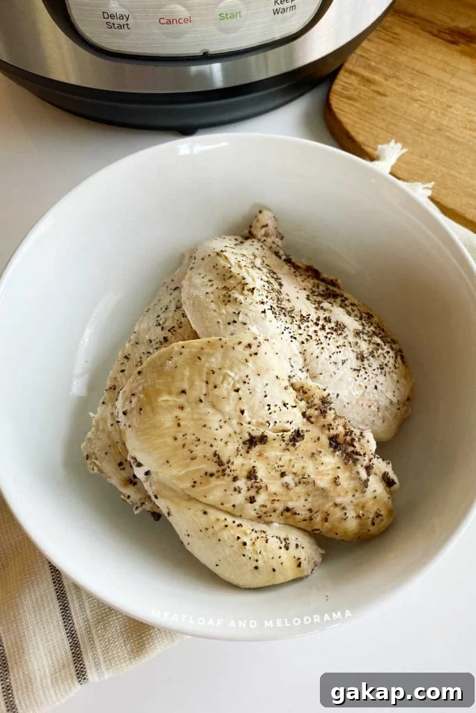chicken breasts in bowl near instant pot pressure cooker